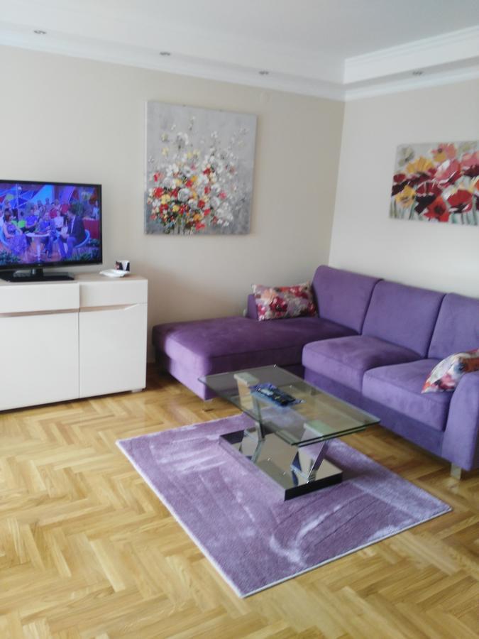 Vlado Apartment 贝尔格莱德 外观 照片