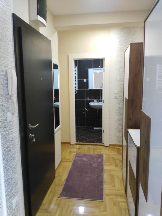 Vlado Apartment 贝尔格莱德 外观 照片