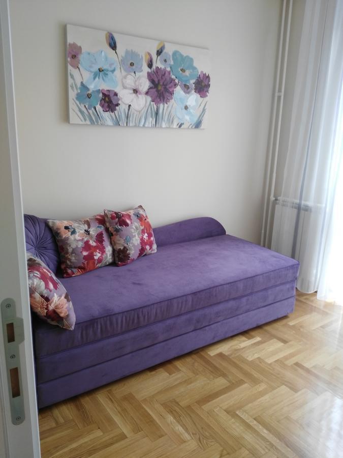 Vlado Apartment 贝尔格莱德 外观 照片