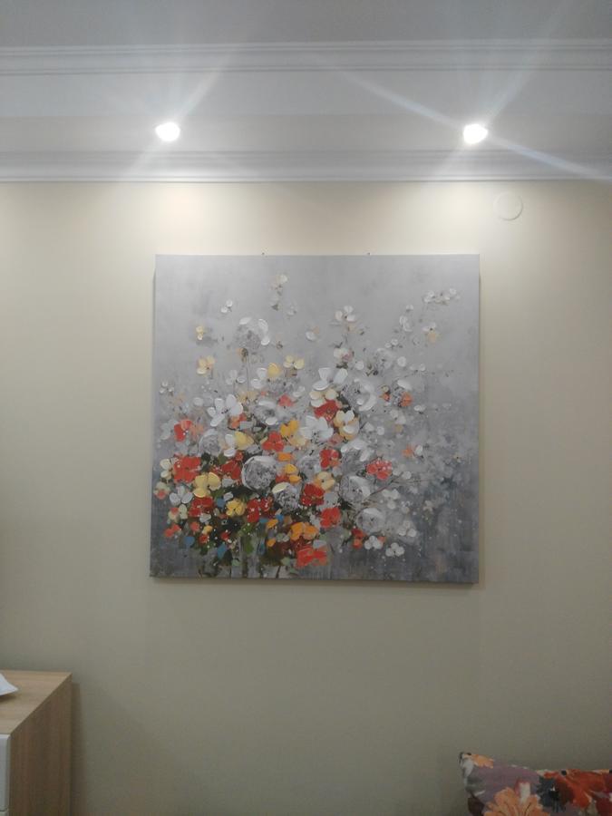 Vlado Apartment 贝尔格莱德 外观 照片