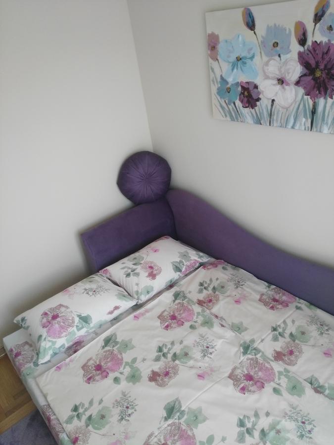 Vlado Apartment 贝尔格莱德 外观 照片